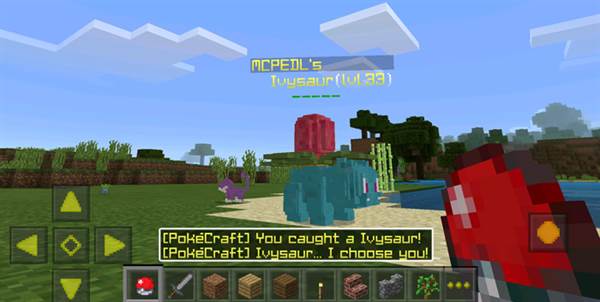 pokecraft-2-1