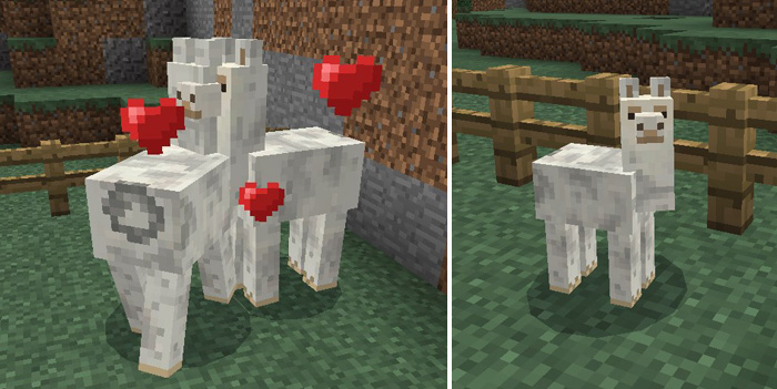 llama-addon-4