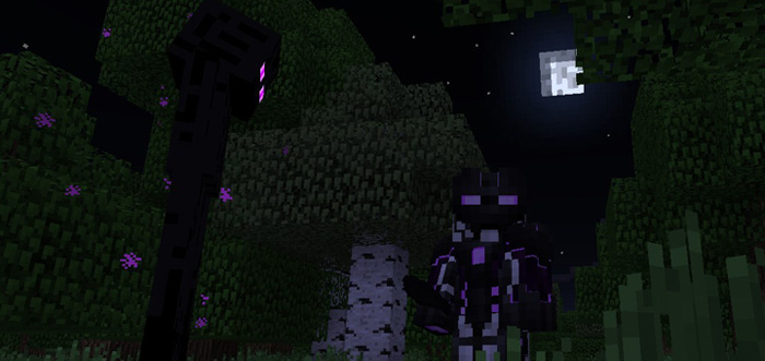 you-are-enderman-2