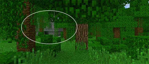 ancient-jungle-temple-in-front-of-spawn-5