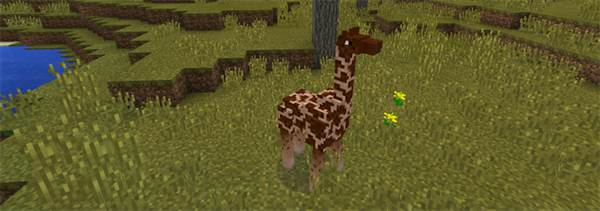 1giraffe