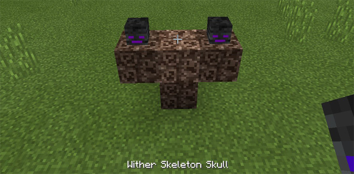 ender-wither-1