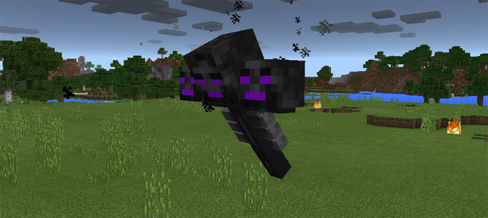 ender-wither-2