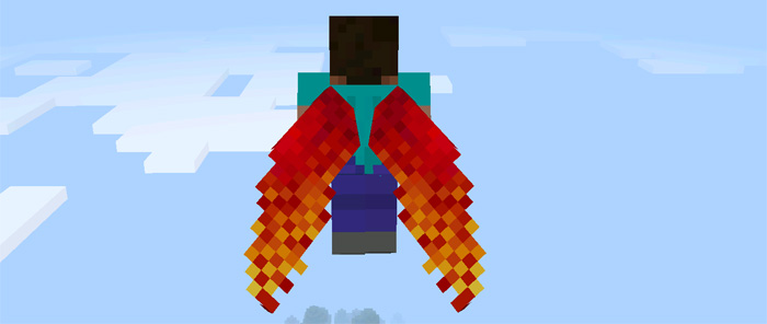 custom-elytra-wings-6