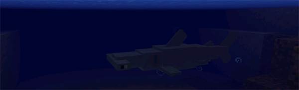 1hammerhead