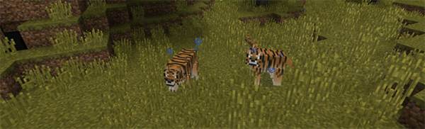 1tigers