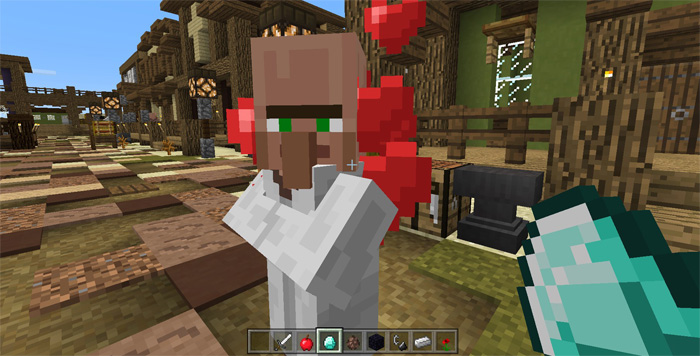 villager-companion-2