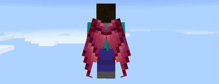 custom-elytra-wings-8