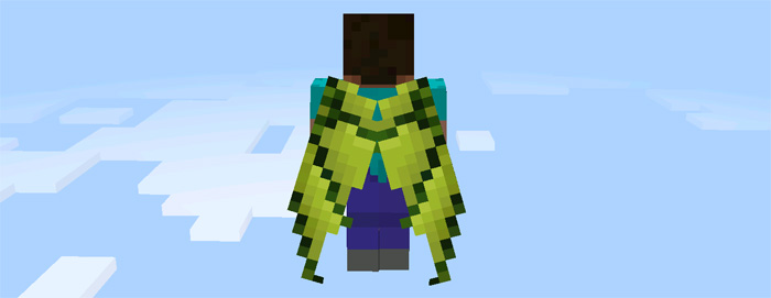 custom-elytra-wings-5