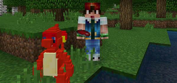 pokecraft-2