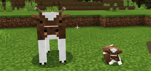 animal texture pack minecraft animal texture pack minecraft