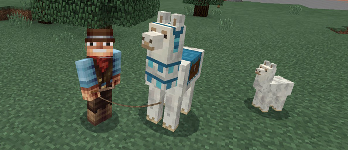 llama-addon-2