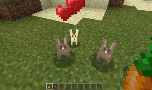 tamable-rabbit-4