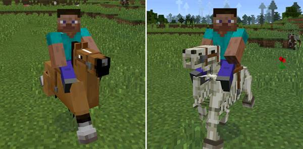 horses-riding