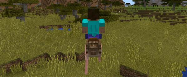 1ostrich