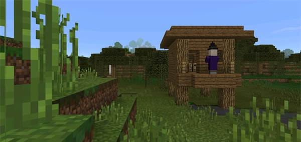 witch-hut-at-spawn-3
