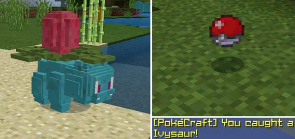 pokecraft-2-2