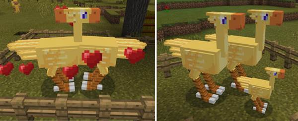 chocobo-2