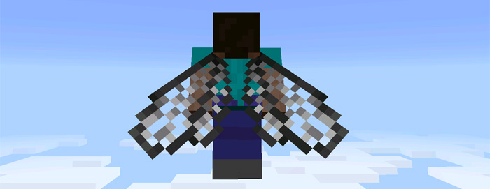 custom-elytra-wings-2