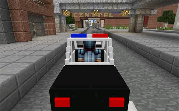 policecar2