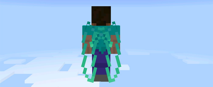 custom-elytra-wings-3