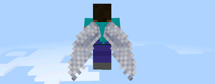 custom-elytra-wings-7